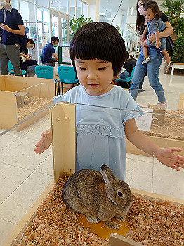 dsc_4191_thumb.jpg