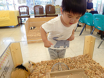dsc_4193_thumb.jpg