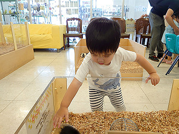 dsc_4196_thumb.jpg