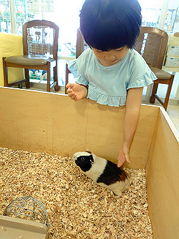 dsc_4199_thumb.jpg