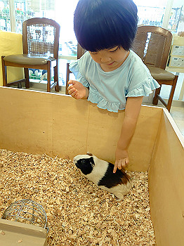 dsc_4200_thumb.jpg