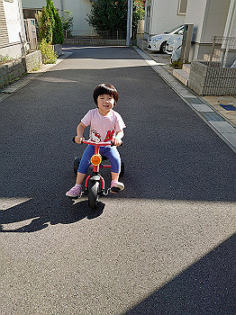 dsc_4303_thumb.jpg