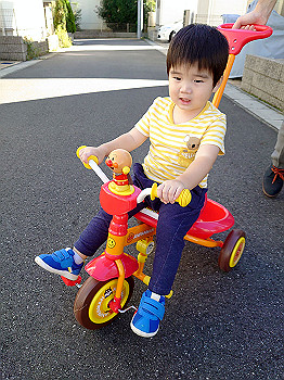 dsc_4304_thumb.jpg
