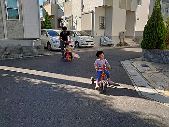 dsc_4314_thumb.jpg