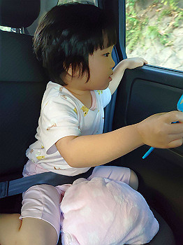 dsc_4349_thumb.jpg