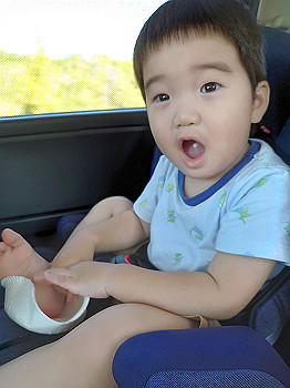 dsc_4361_thumb.jpg