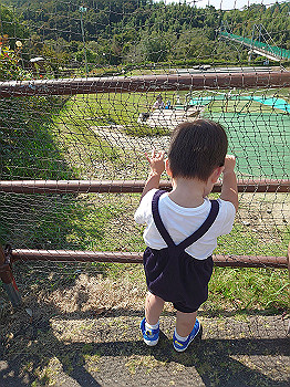 dsc_4455_thumb.jpg