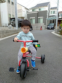 dsc_4539_thumb.jpg