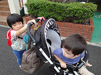 dsc_4549_thumb.jpg