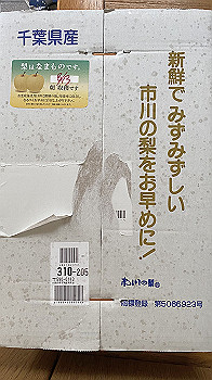 img_1269_thumb.jpg