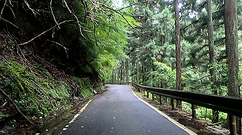 gx012037.mp4_snapshot_02.29_thumb.jpg
