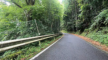 gx012044.mp4_snapshot_07.32_thumb.jpg