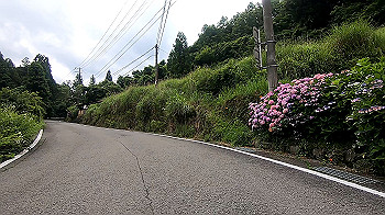 gx012047.mp4_snapshot_08.30_thumb.jpg