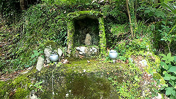 gx012049.mp4_snapshot_00.51_thumb.jpg