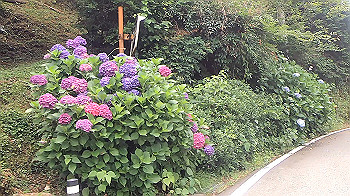 gx012052.mp4_snapshot_01.11_thumb.jpg