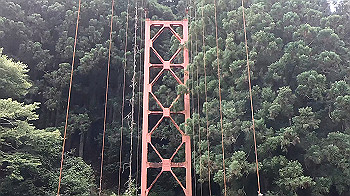 gx012053.mp4_snapshot_02.44_thumb.jpg