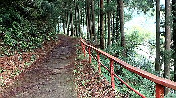 gx012053.mp4_snapshot_03.07_thumb.jpg