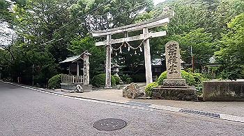 gx012061.mp4_snapshot_00.08_thumb.jpg