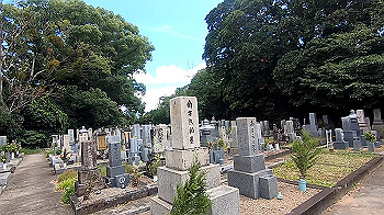 gx012077.mp4_snapshot_00.01_thumb.jpg
