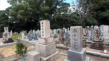 gx012077.mp4_snapshot_00.09_thumb.jpg