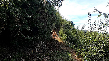 gx012085.mp4_snapshot_00.24_thumb.jpg