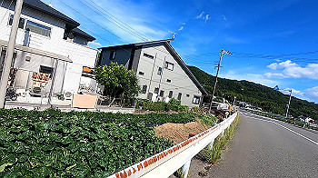 gx012087.mp4_snapshot_00.01_thumb.jpg