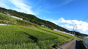 gx012088.mp4_snapshot_00.01_thumb.jpg