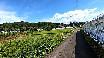 gx012088.mp4_snapshot_00.05_thumb.jpg