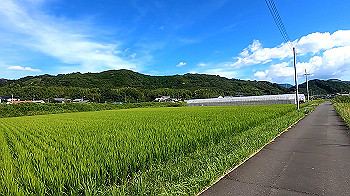 gx012088.mp4_snapshot_00.37_thumb.jpg