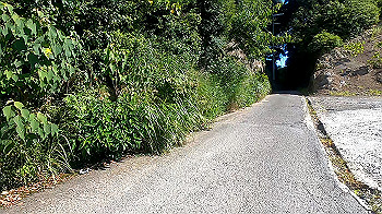 gx012089.mp4_snapshot_00.27_thumb.jpg