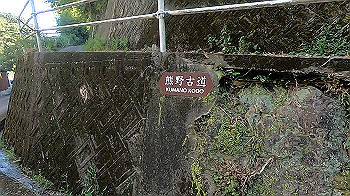 gx012090.mp4_snapshot_01.15_thumb.jpg