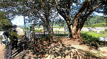 gx012091.mp4_snapshot_00.12_thumb.jpg