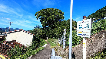 gx012095.mp4_snapshot_02.30_thumb.jpg