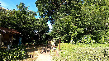 gx012095.mp4_snapshot_02.50_thumb.jpg