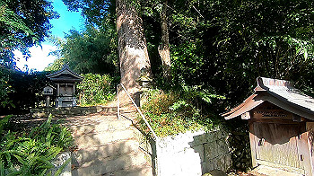 gx012095.mp4_snapshot_03.14_thumb.jpg