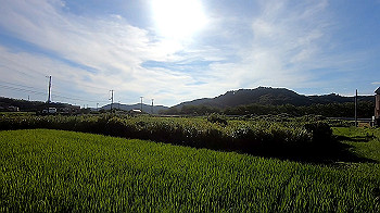 gx012096.mp4_snapshot_00.07_thumb.jpg