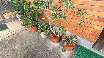 gx012100.mp4_snapshot_00.00_thumb.jpg