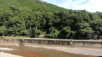 gx012101.mp4_snapshot_00.01_thumb.jpg
