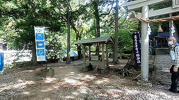 gx012102.mp4_snapshot_03.57_thumb.jpg