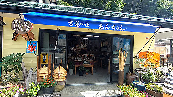 gx012103.mp4_snapshot_00.09_thumb.jpg