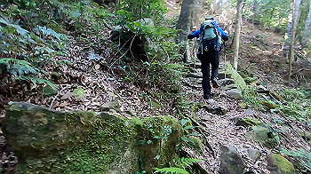 gx012104.mp4_snapshot_03.20_thumb.jpg