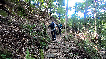gx012105.mp4_snapshot_00.01_thumb.jpg
