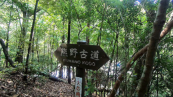 gx012105.mp4_snapshot_00.50_thumb.jpg