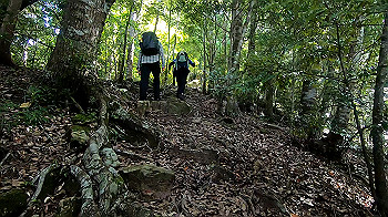 gx012105.mp4_snapshot_01.07_thumb.jpg