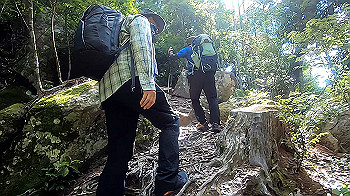 gx012105.mp4_snapshot_01.46_thumb.jpg