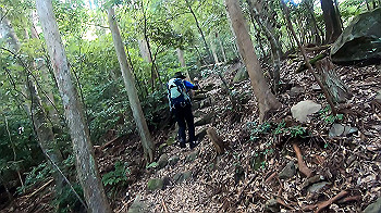 gx012106.mp4_snapshot_00.12_thumb.jpg