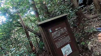 gx012106.mp4_snapshot_01.22_thumb.jpg