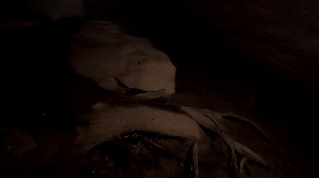 gx012107.mp4_snapshot_02.11_thumb.jpg