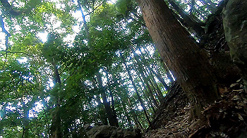 gx012107.mp4_snapshot_02.53_thumb.jpg