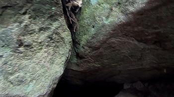 gx012108.mp4_snapshot_00.08_thumb.jpg